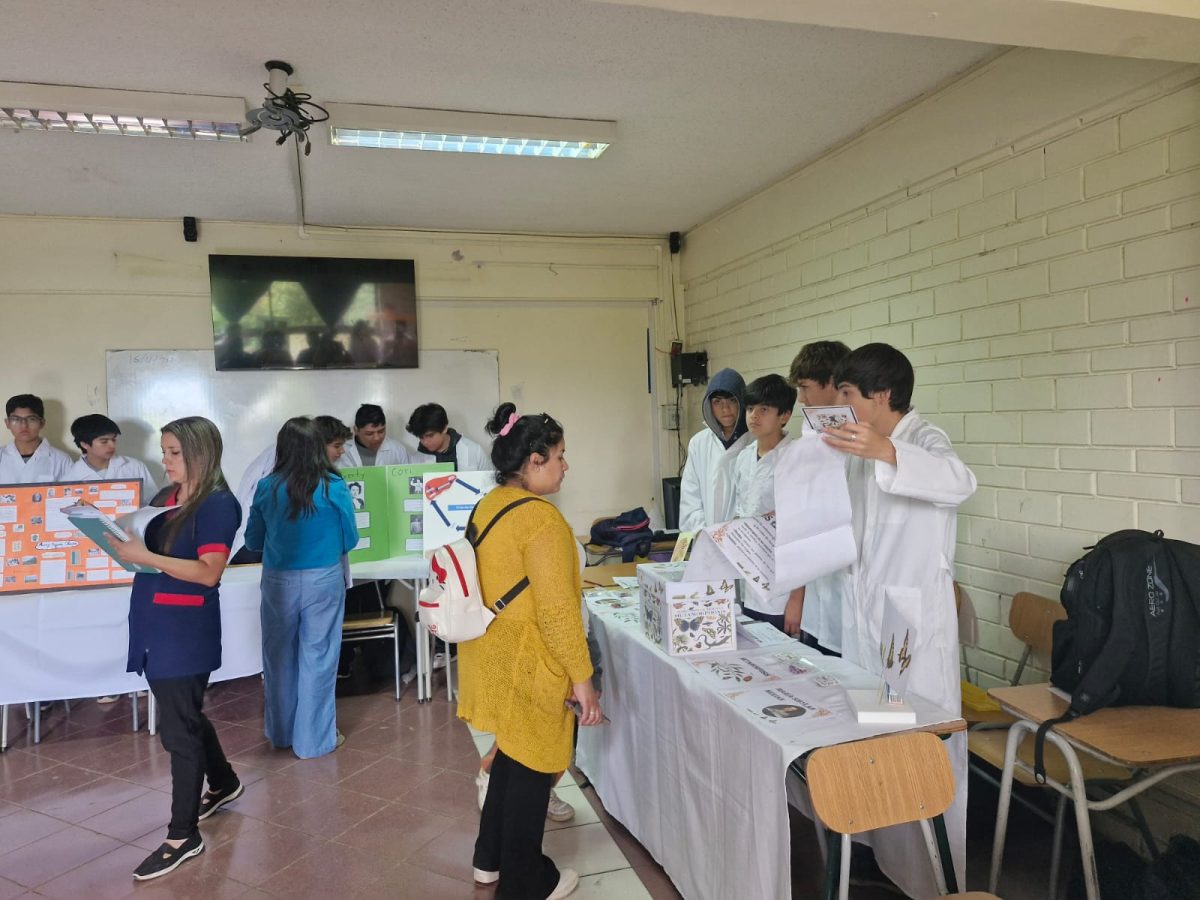 Feria de Ciencias SSLA 2024