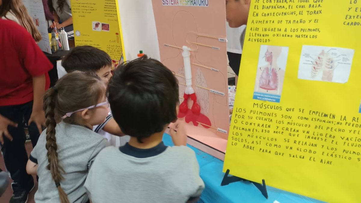 Feria de Ciencias SSLA 2024