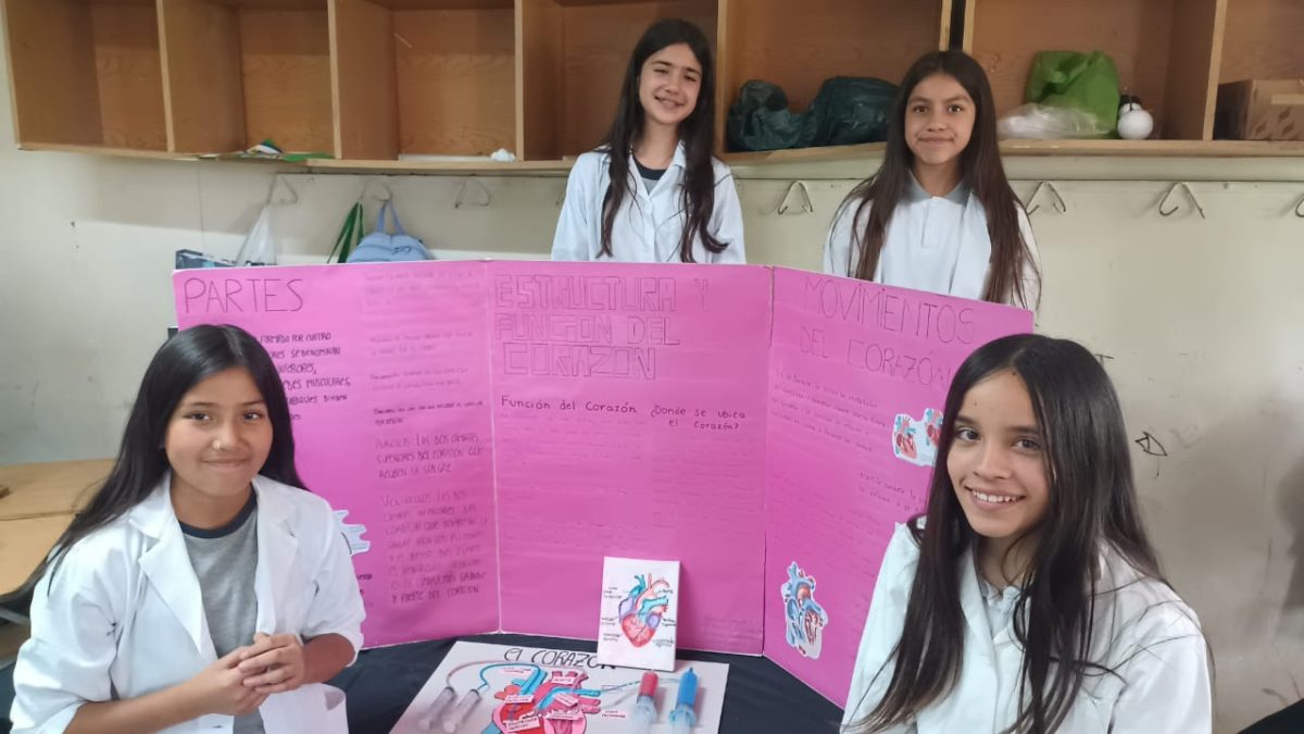 Feria de Ciencias SSLA 2024