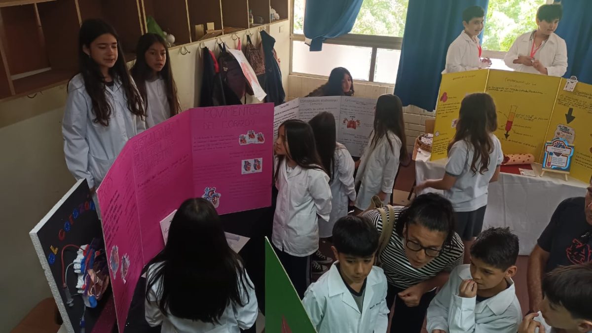 Feria de Ciencias SSLA 2024