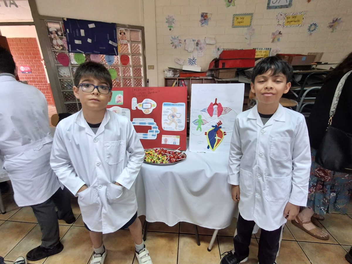 Feria de Ciencias SSLA 2024