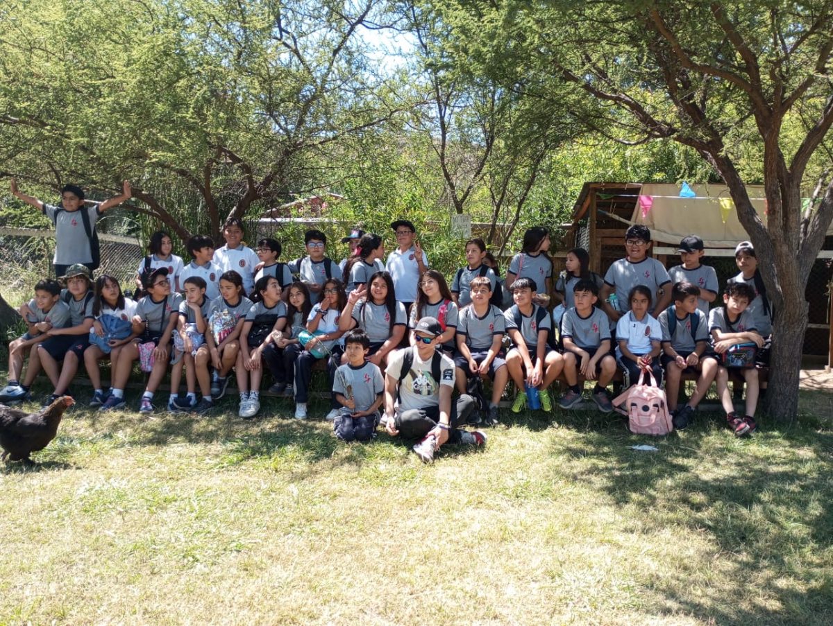 Estudiantes de 4° Básico, viven experiencia educativa en la granja