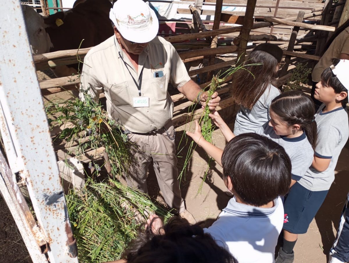 Visita Granja Educativa