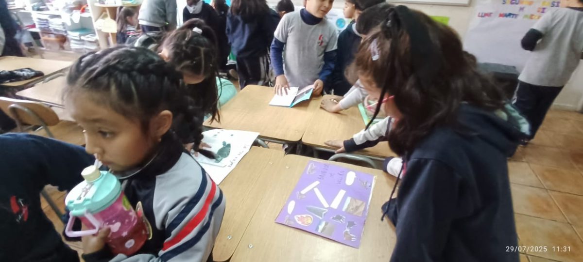 “Cuidemos Juntos el Planeta: Una Experiencia entre Ciclos”