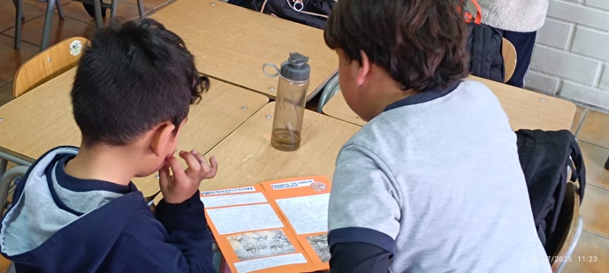 “Cuidemos Juntos el Planeta: Una Experiencia entre Ciclos”