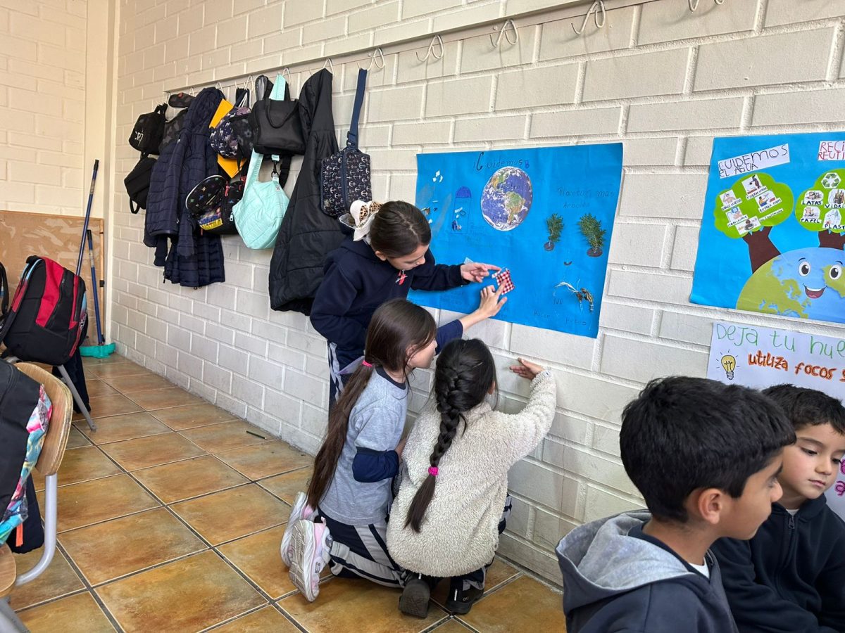 “Cuidemos Juntos el Planeta: Una Experiencia entre Ciclos”
