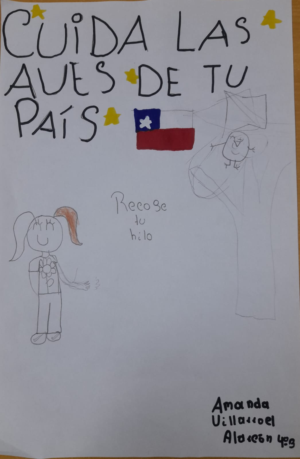 Recoge tu Hilo