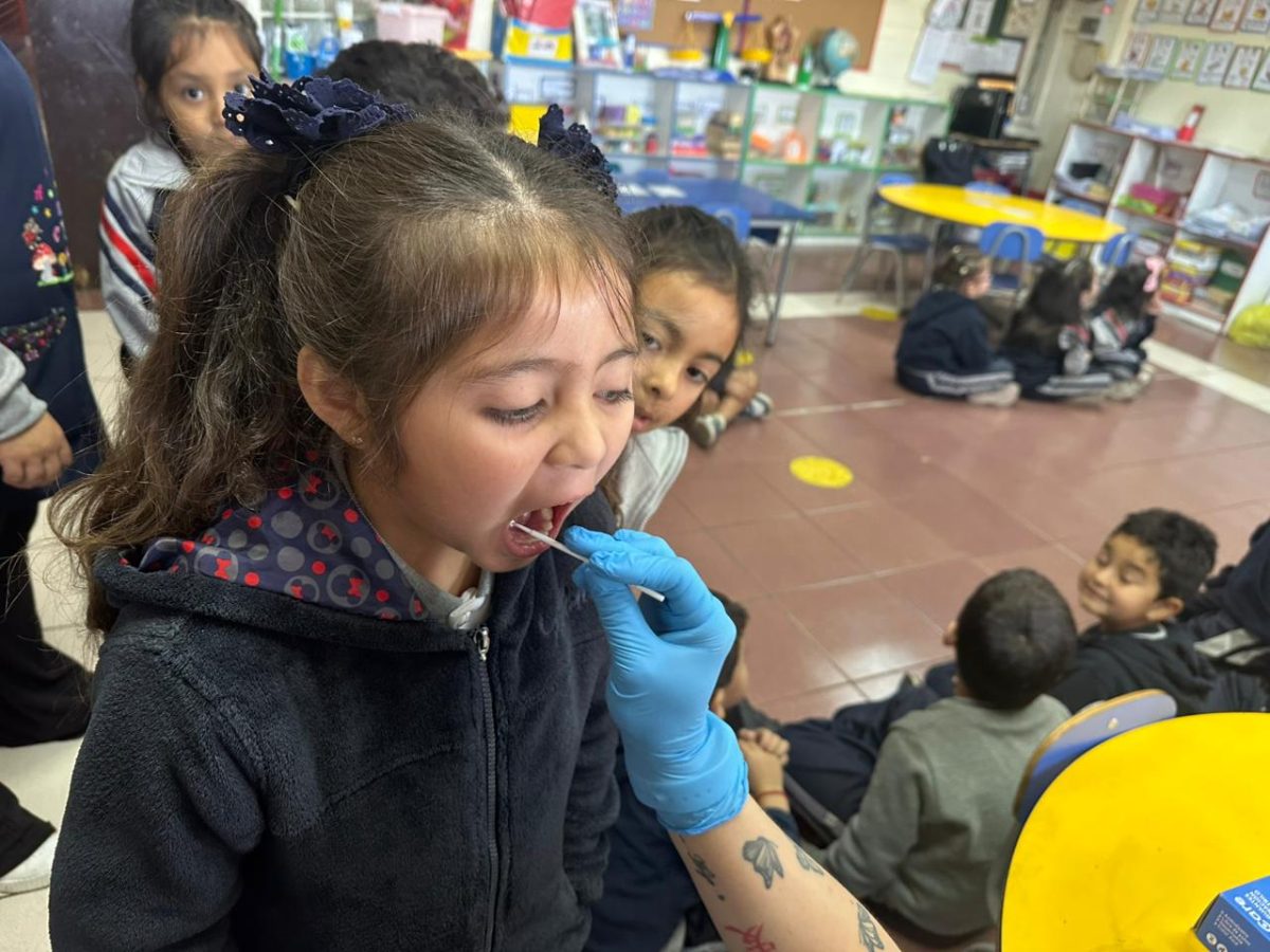 Segunda aplicación de flúor