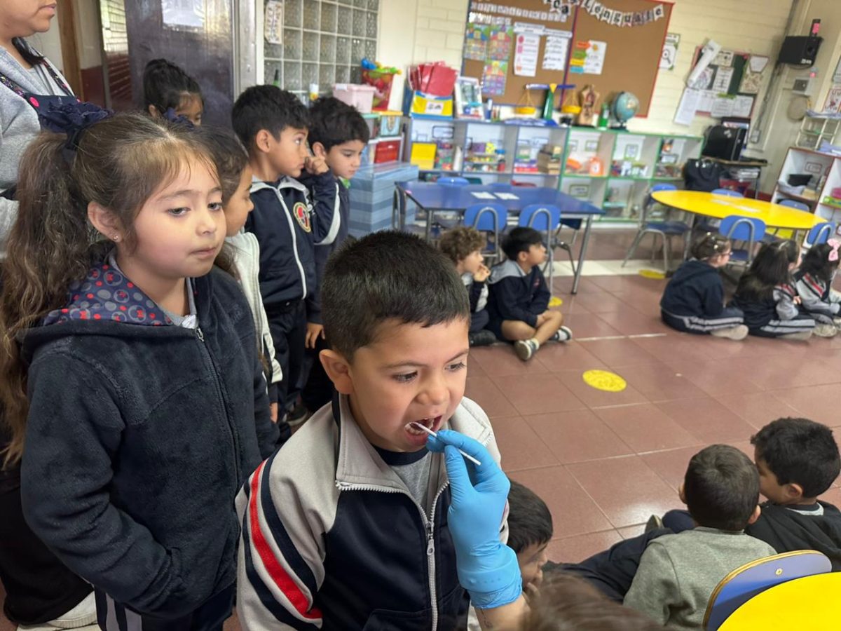 Segunda aplicación de flúor