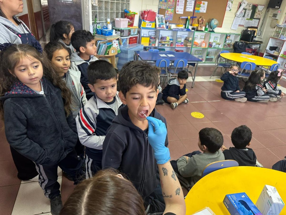 Segunda aplicación de flúor