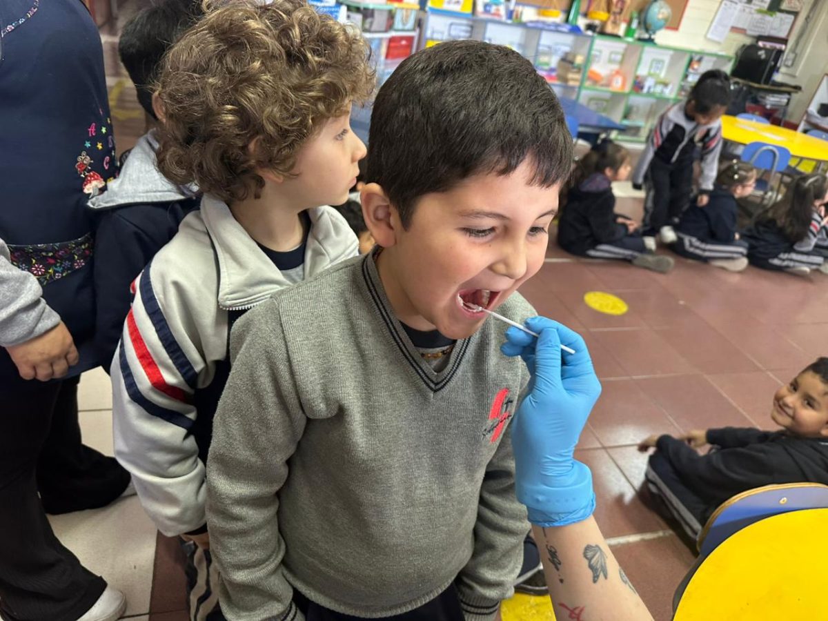 Segunda aplicación de flúor