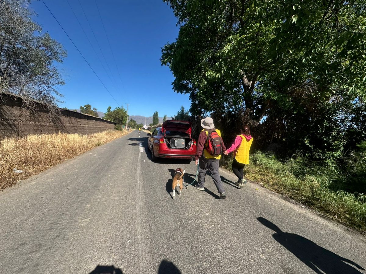 caminata al Santuario de Santa Teresa de Los Andes