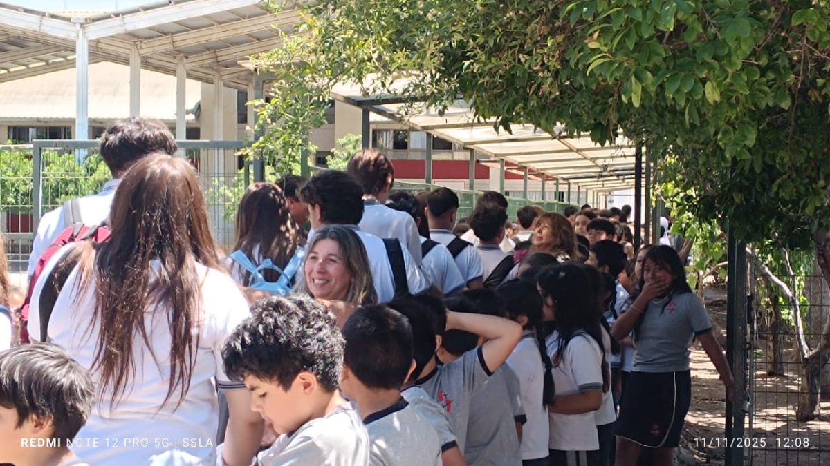 Despedida IV° Medios