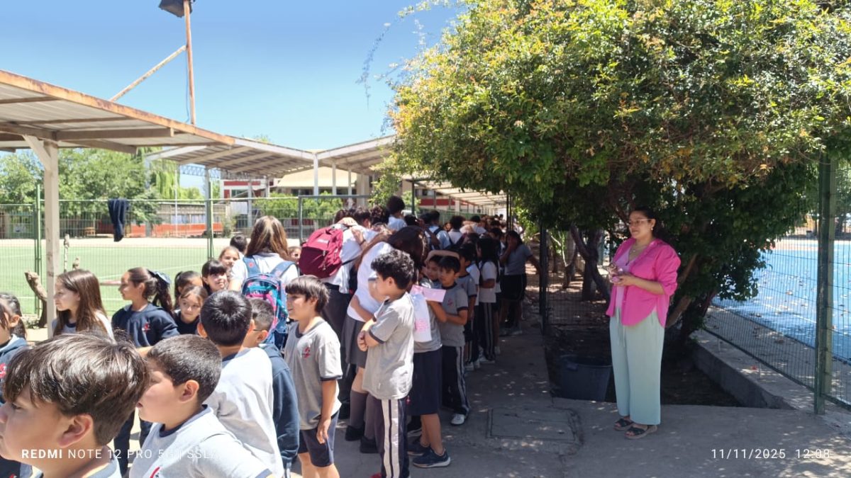 Despedida IV° Medios