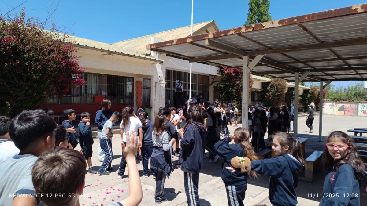 Despedida IV° Medios