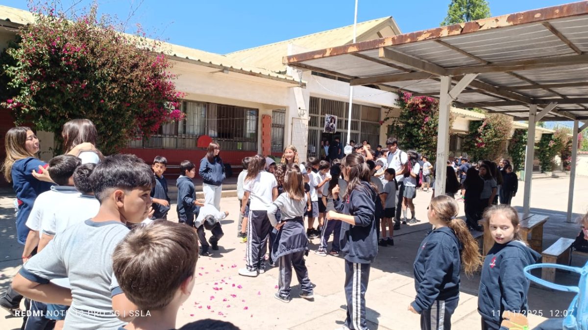 Despedida IV° Medios