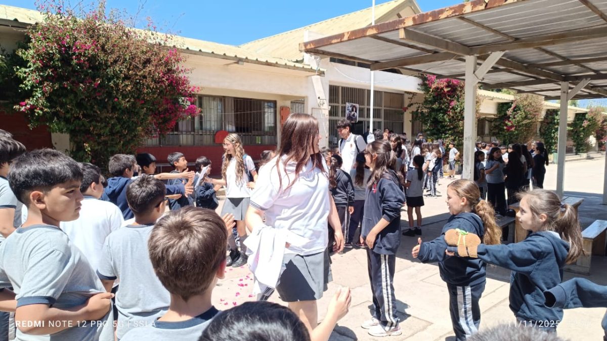 Despedida IV° Medios