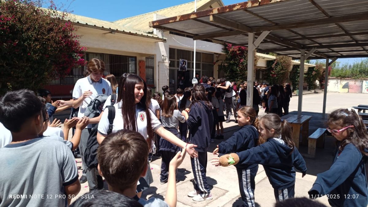 Despedida IV° Medios