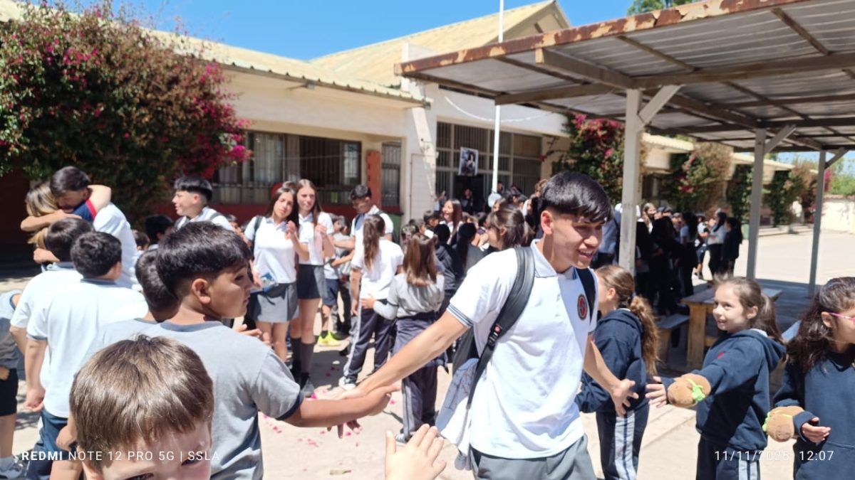 Despedida IV° Medios