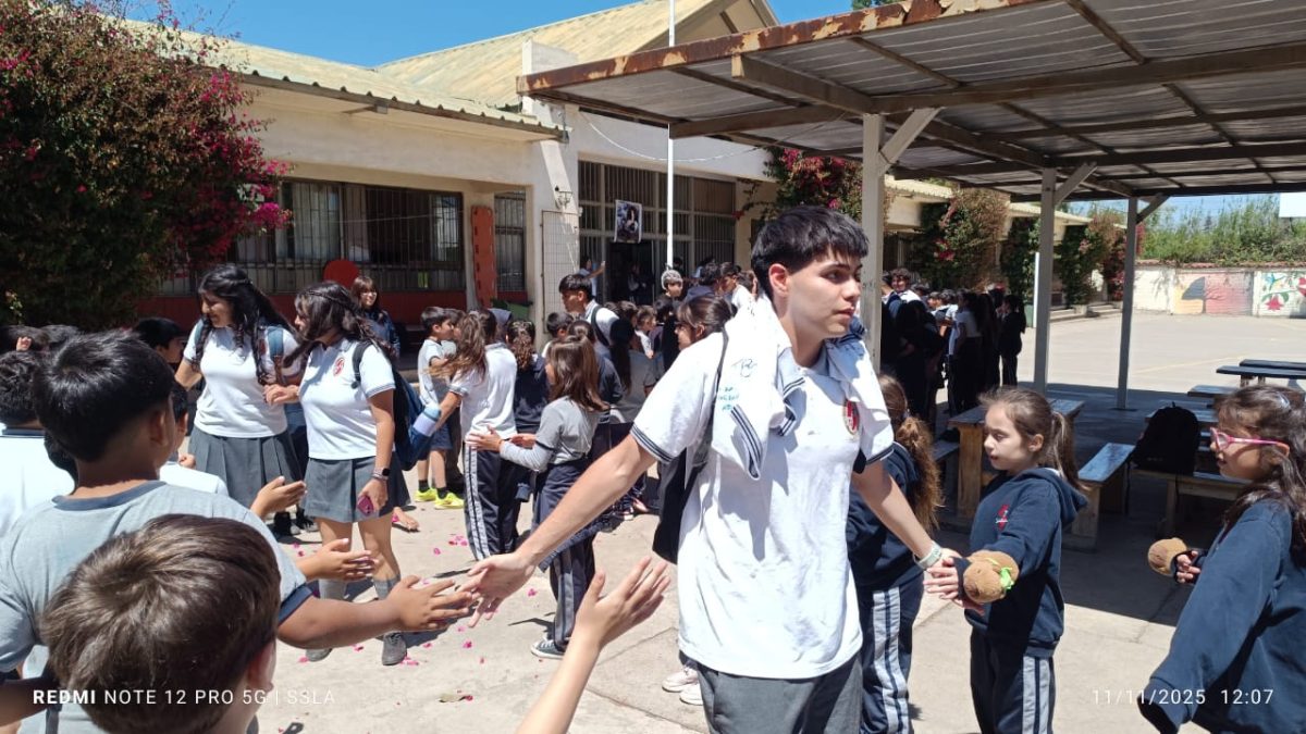 Despedida IV° Medios