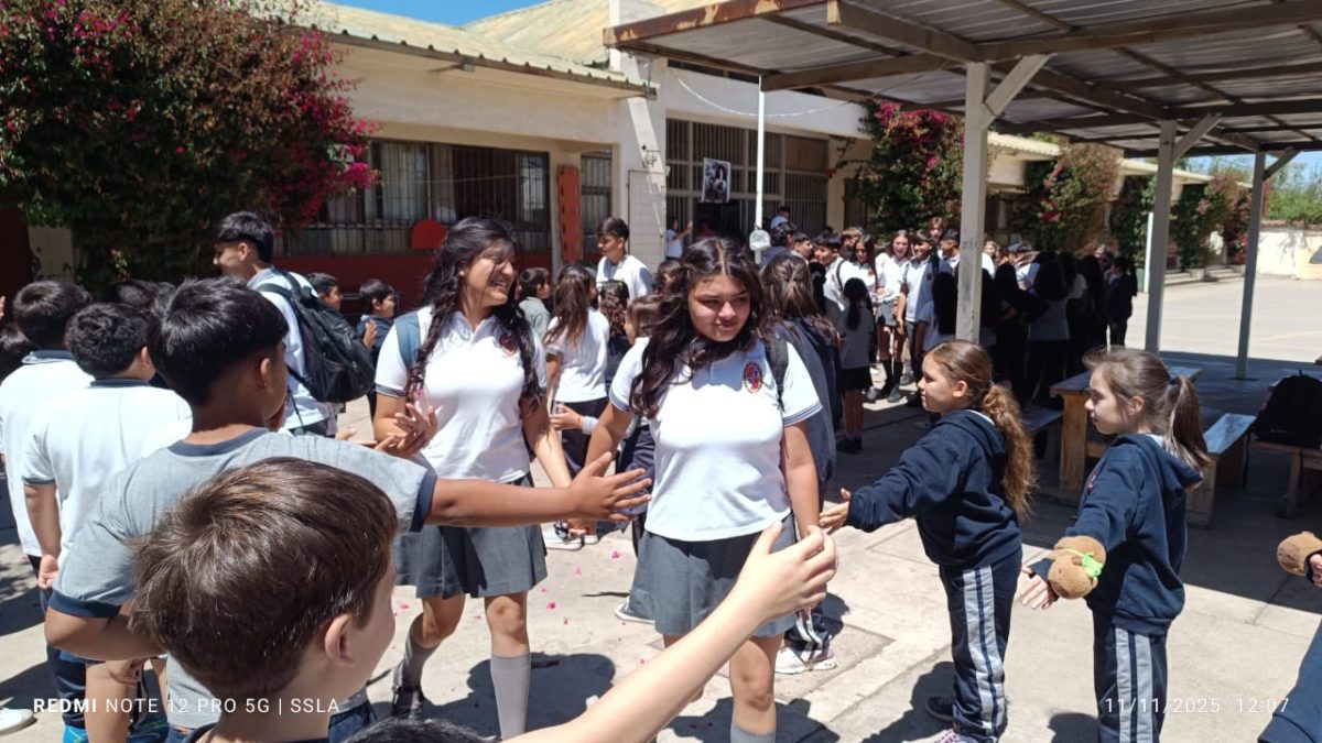 Despedida IV° Medios