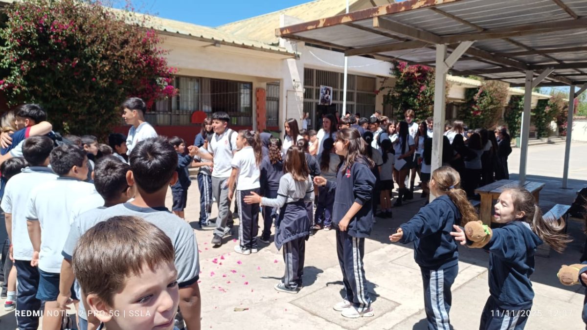 Despedida IV° Medios