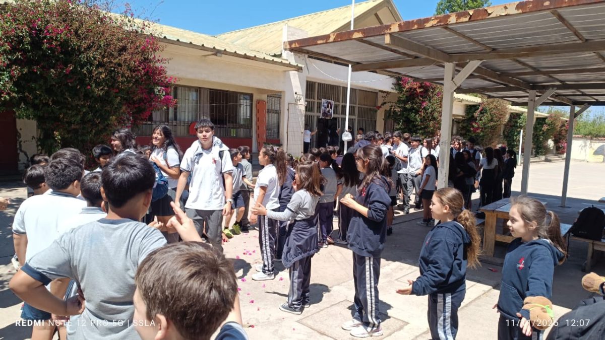 Despedida IV° Medios