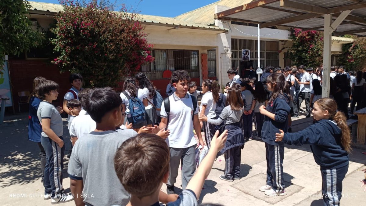 Despedida IV° Medios