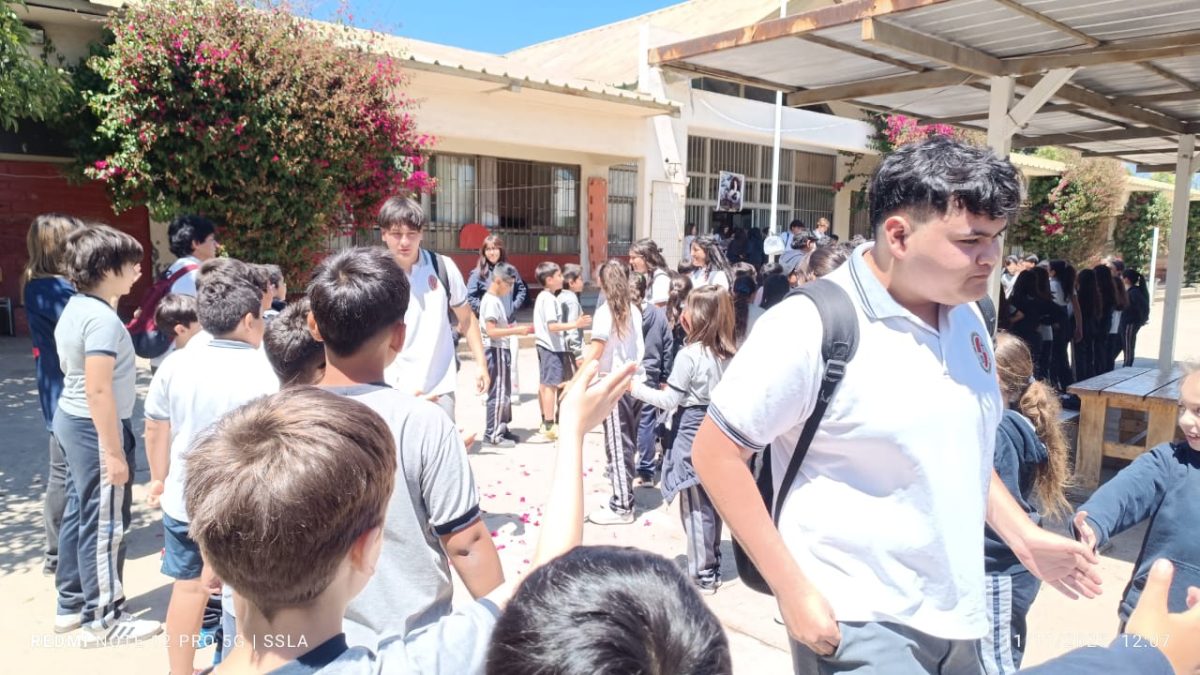 Despedida IV° Medios