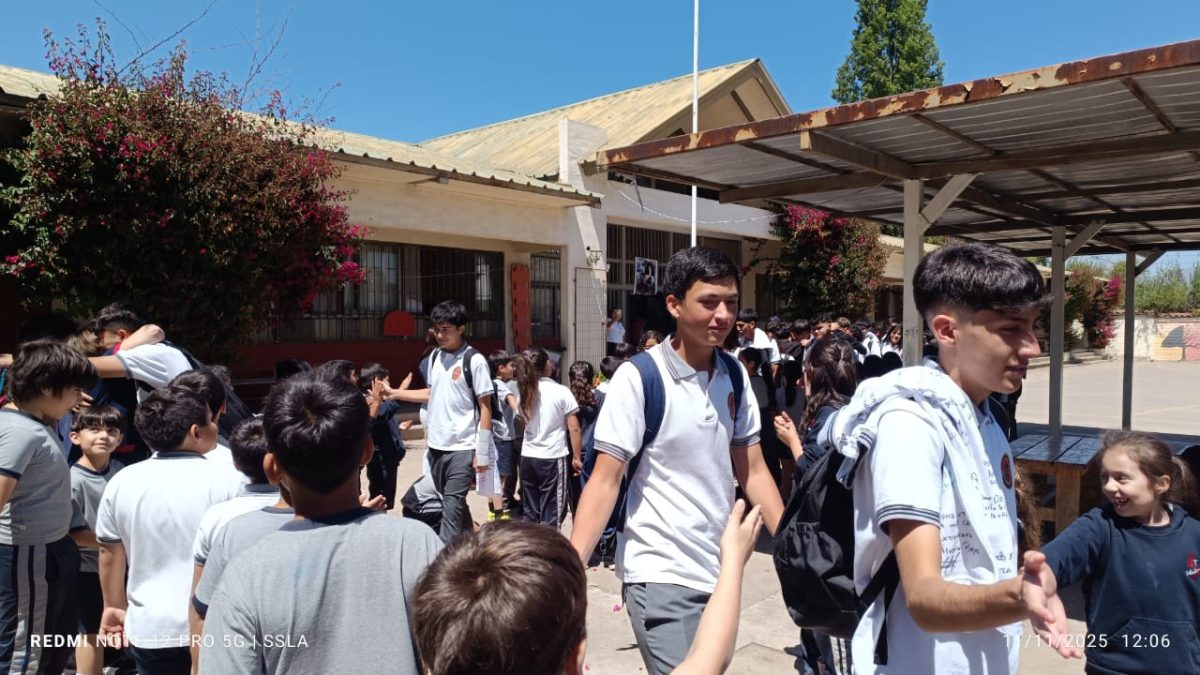 Despedida IV° Medios