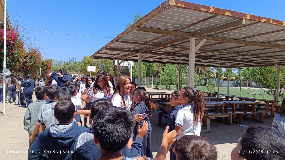 Despedida IV° Medios