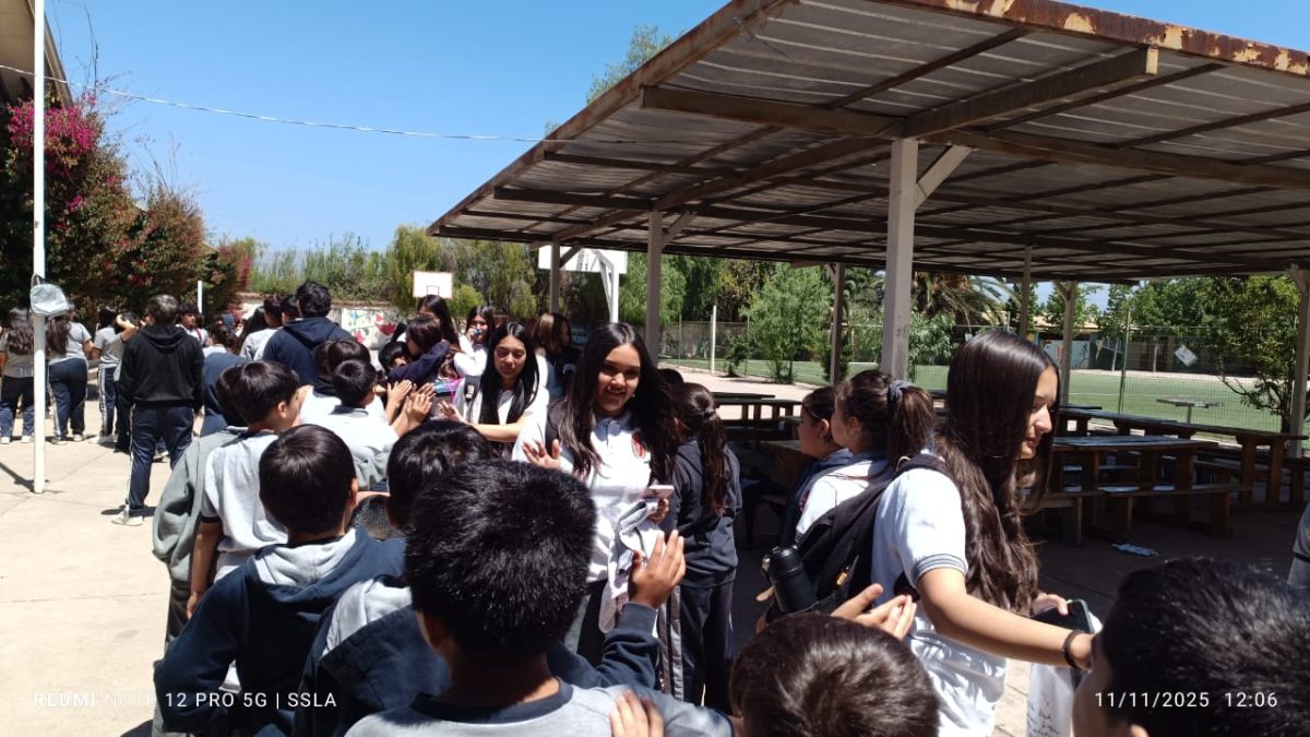 Despedida IV° Medios