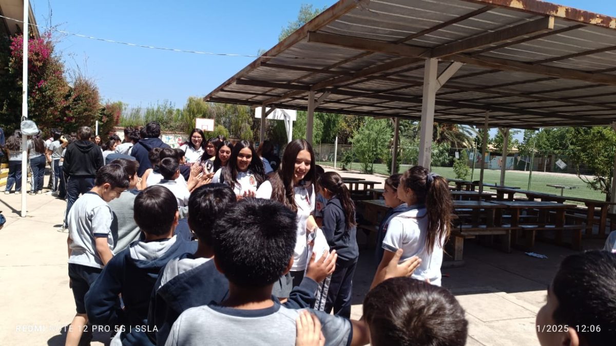 Despedida IV° Medios