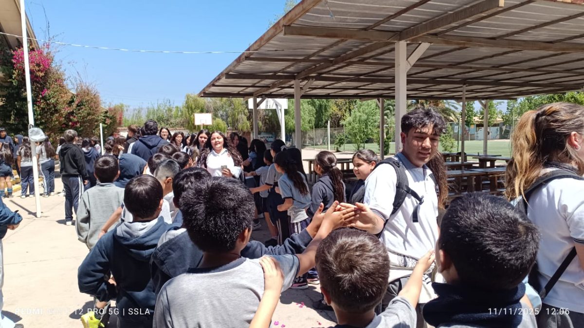 Despedida IV° Medios