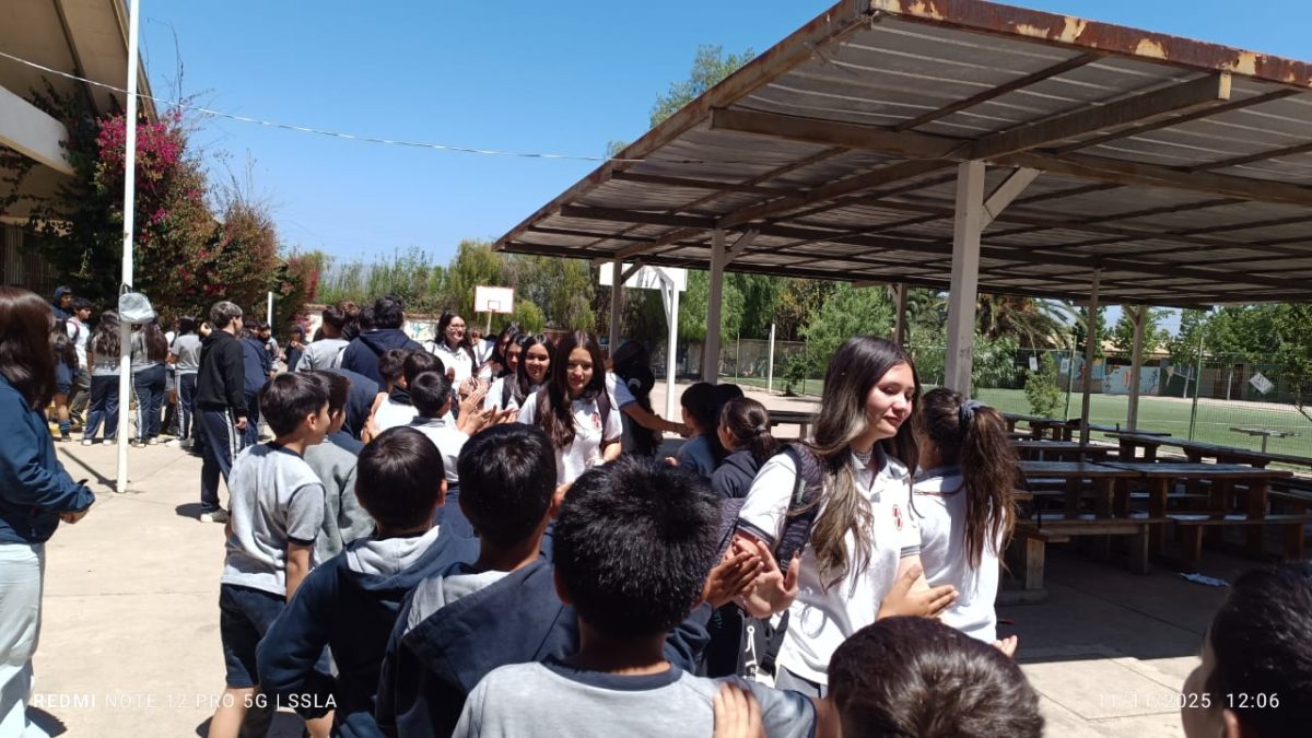 Despedida IV° Medios