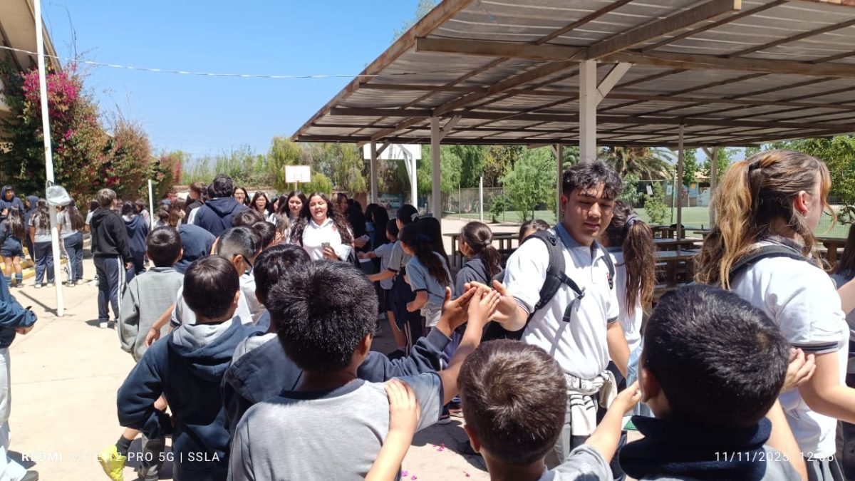 Despedida IV° Medios