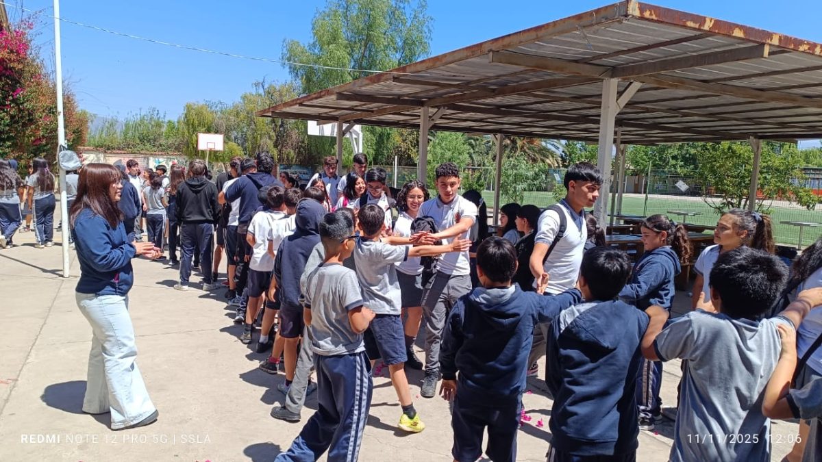 Despedida IV° Medios