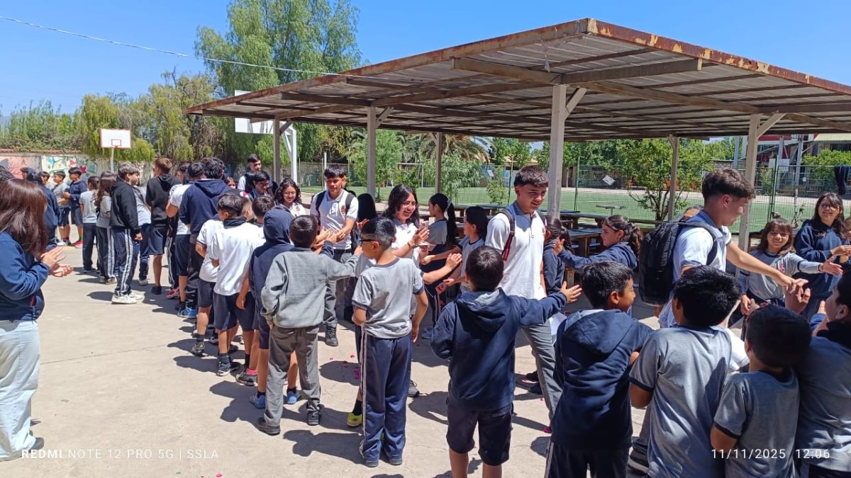 Despedida IV° Medios