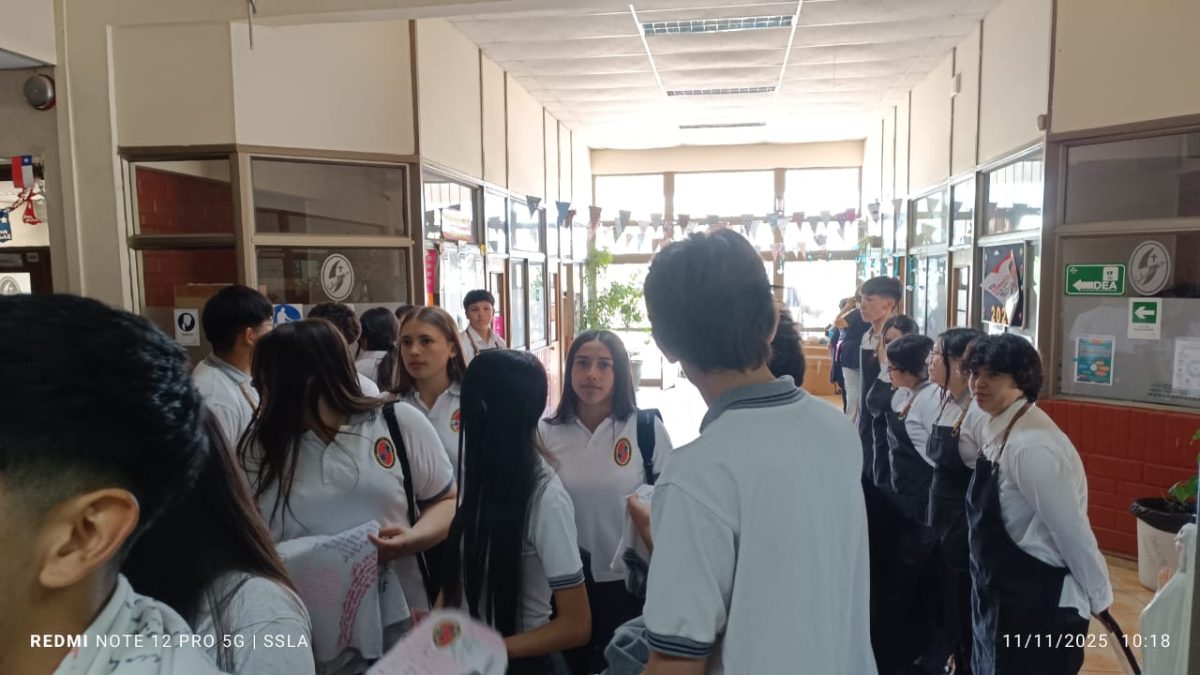 Despedida IV° Medios