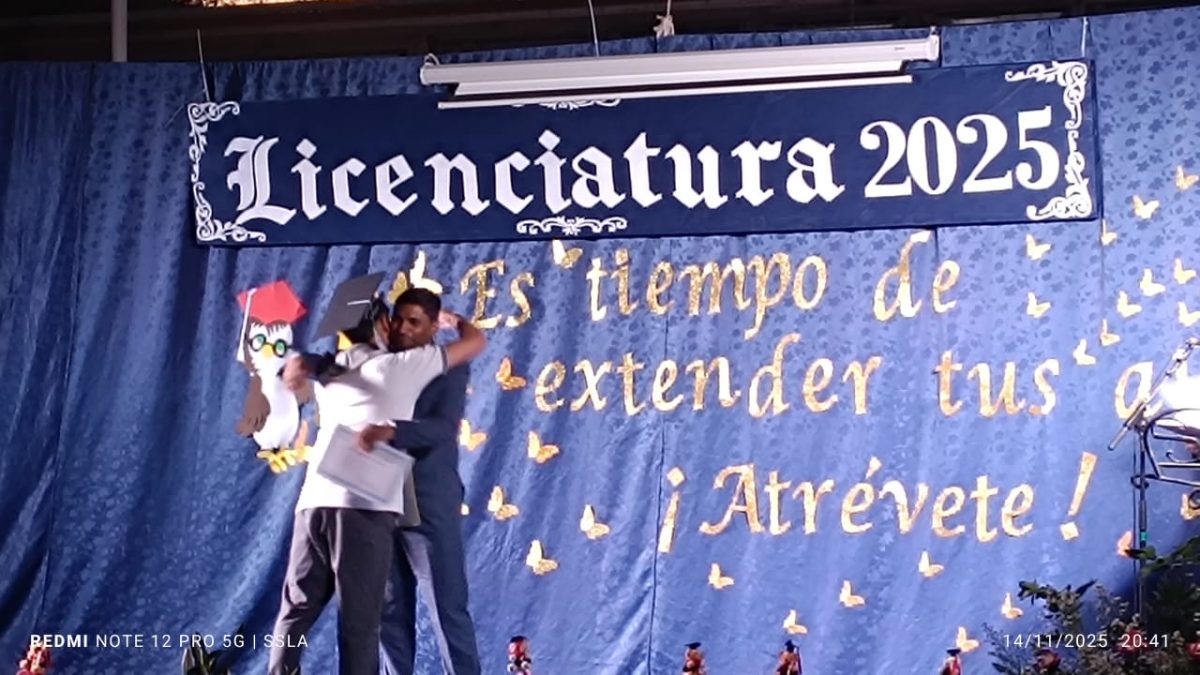 Licenciatura IV Medios