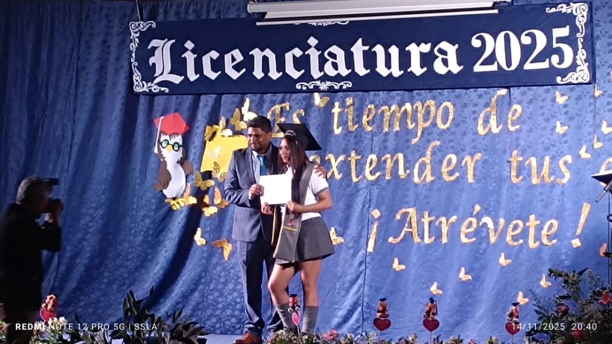 Licenciatura IV Medios