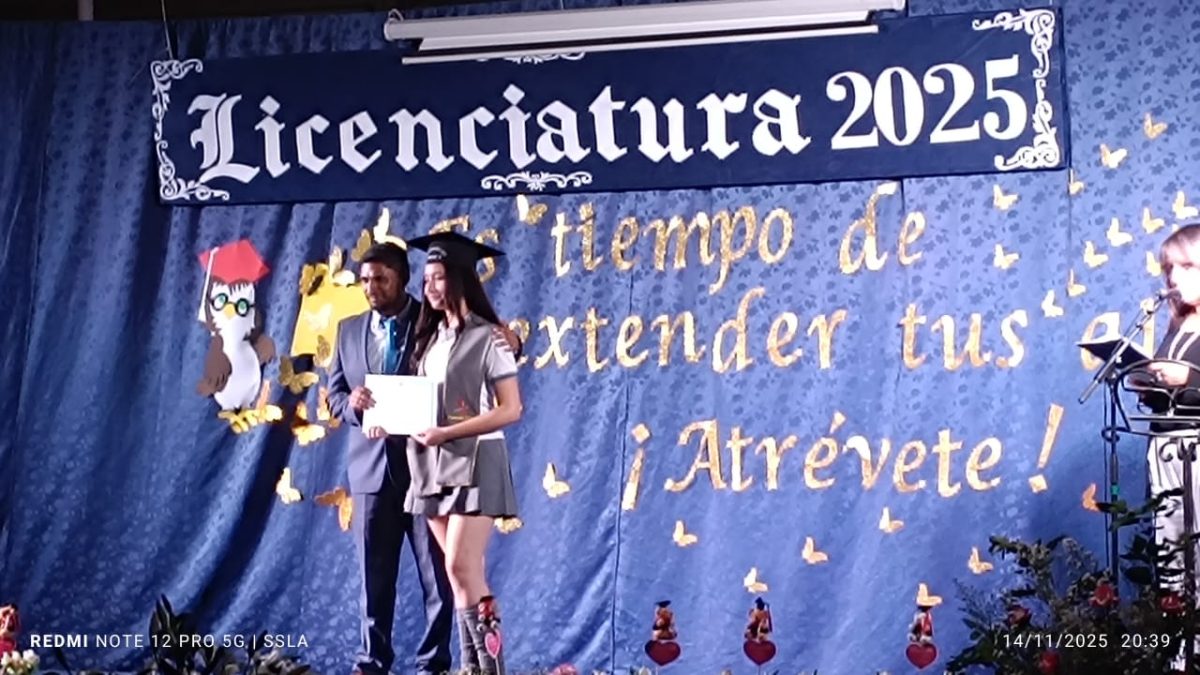 Licenciatura IV Medios