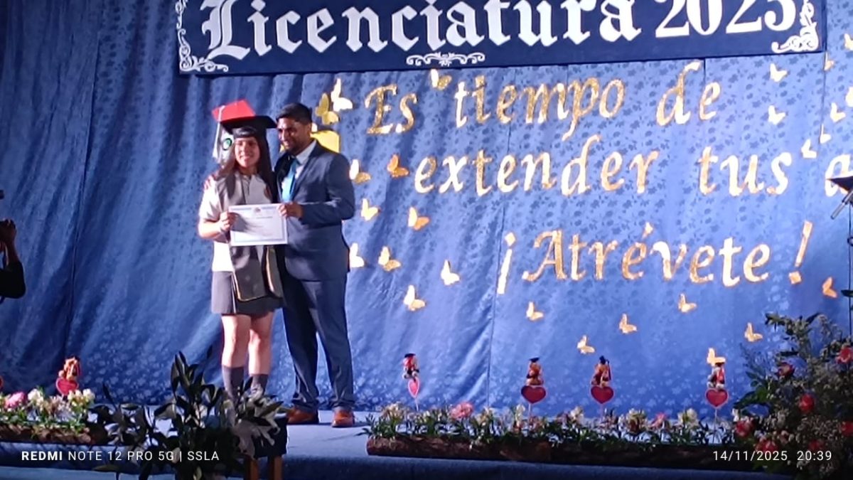 Licenciatura IV Medios