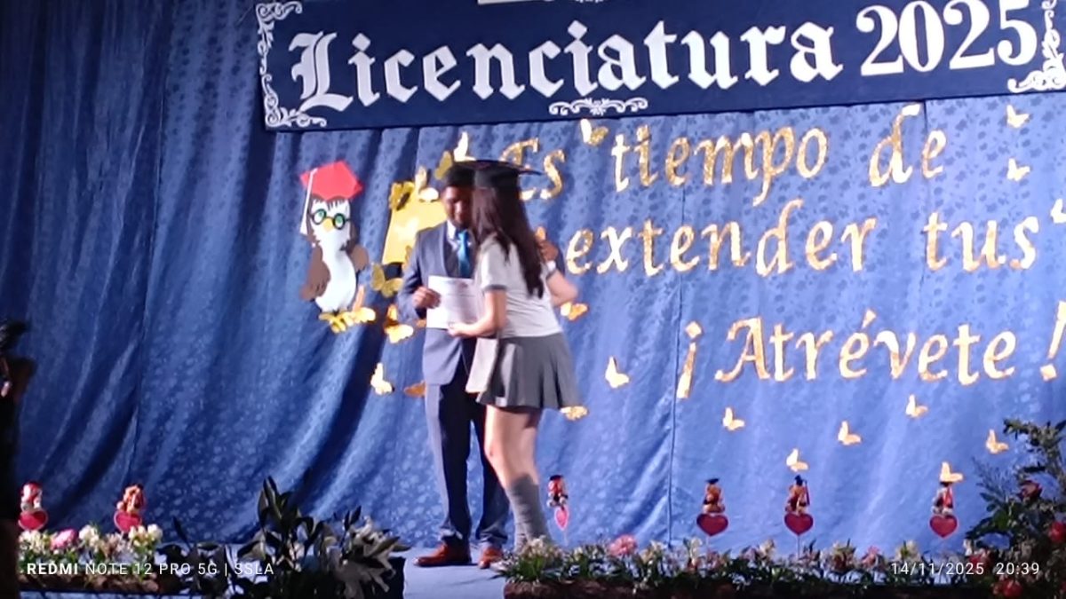 Licenciatura IV Medios
