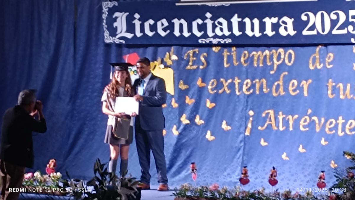 Licenciatura IV Medios