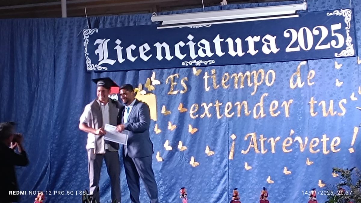 Licenciatura IV Medios