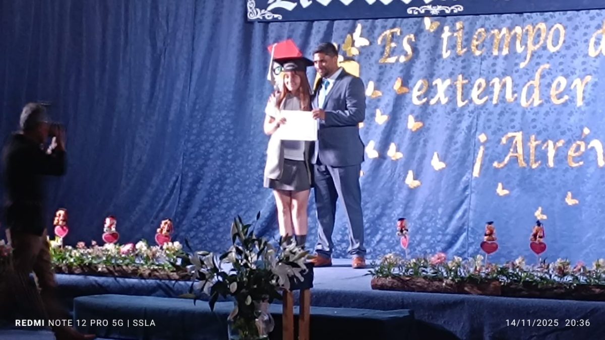 Licenciatura IV Medios