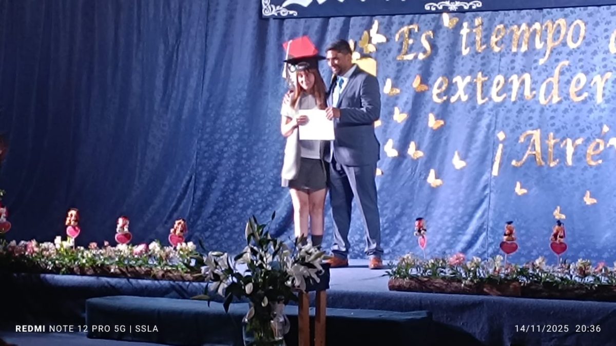 Licenciatura IV Medios