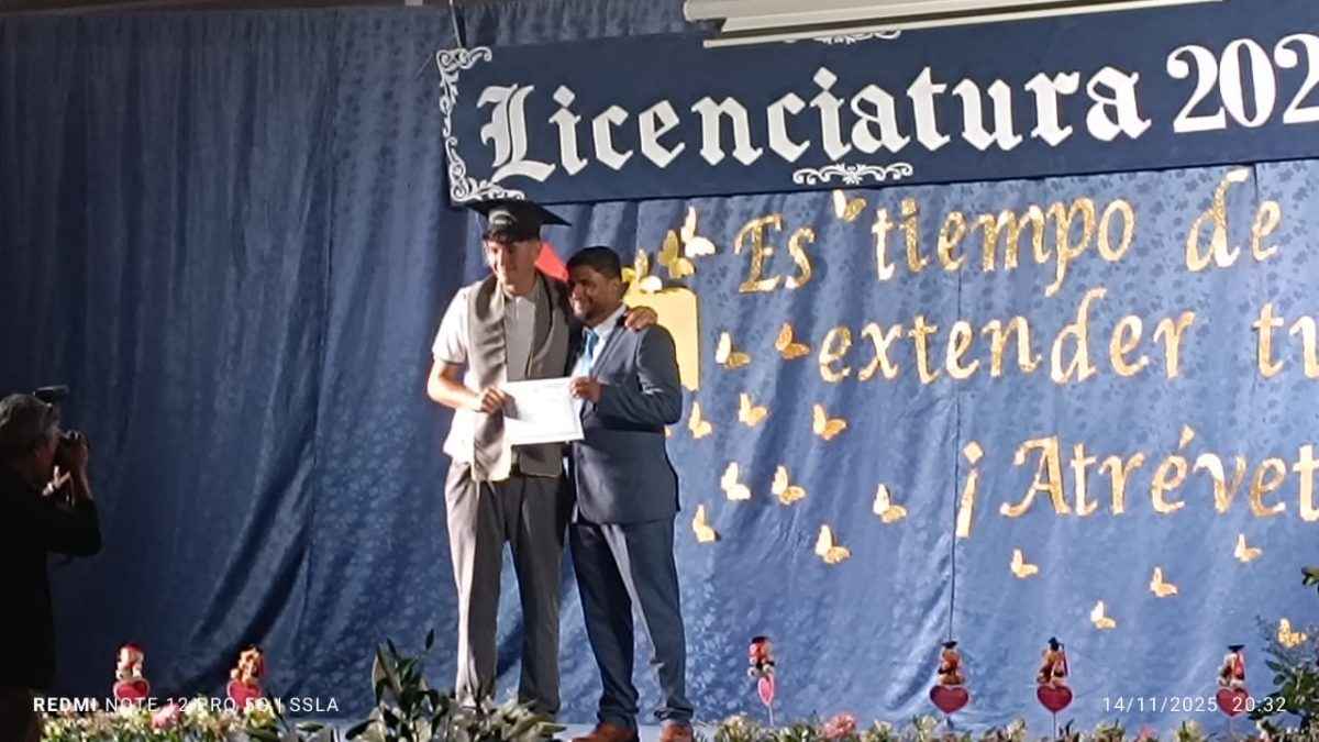 Licenciatura IV Medios