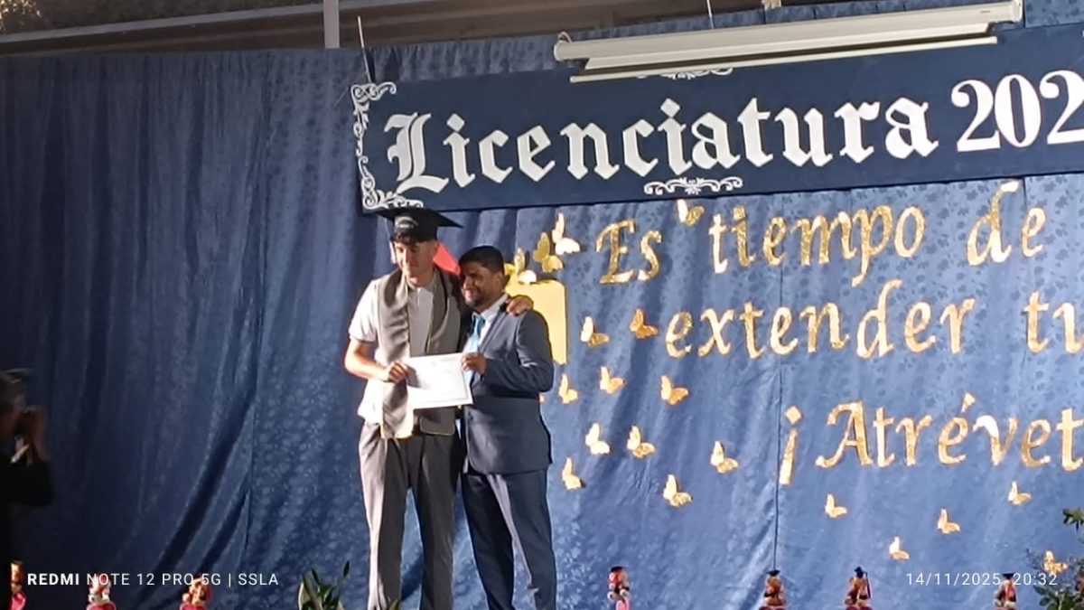 Licenciatura IV Medios